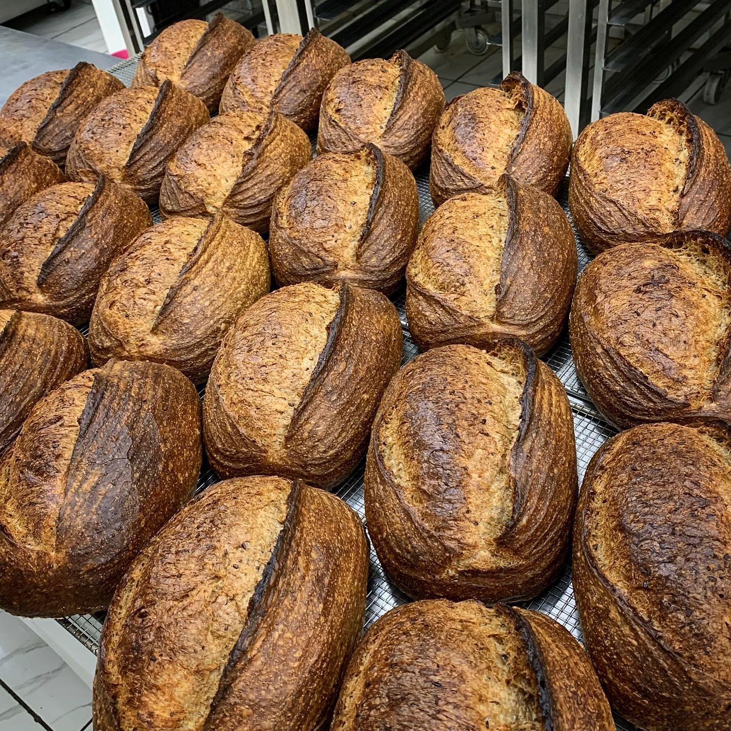 sourdough-enak-di-jakarta-9