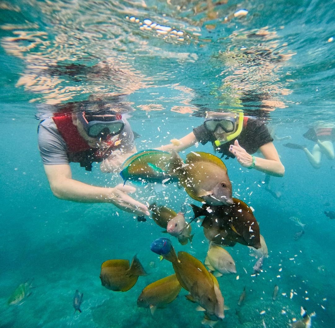 Spot diving dan snorkeling terbaik di Bali-07