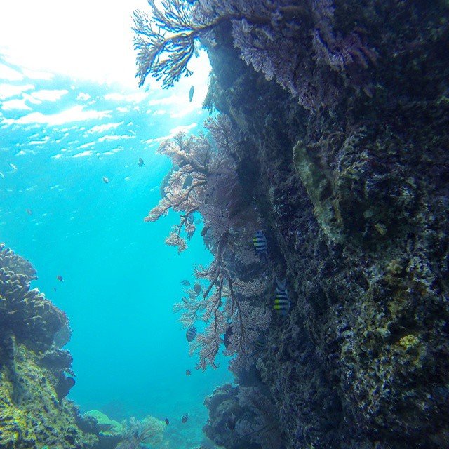 Spot diving dan snorkeling terbaik di Bali-09