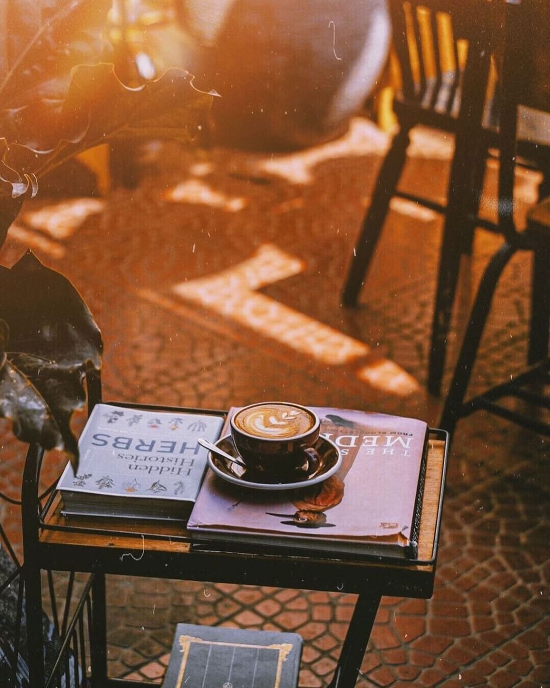 10 Cafe di Surabaya yang Asik dan Pewe Buat Nongkrong