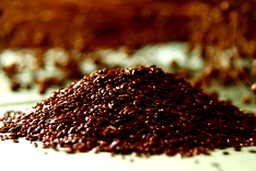 Apa Itu Flaxseed dan Manfaatnya Buat Tubuh