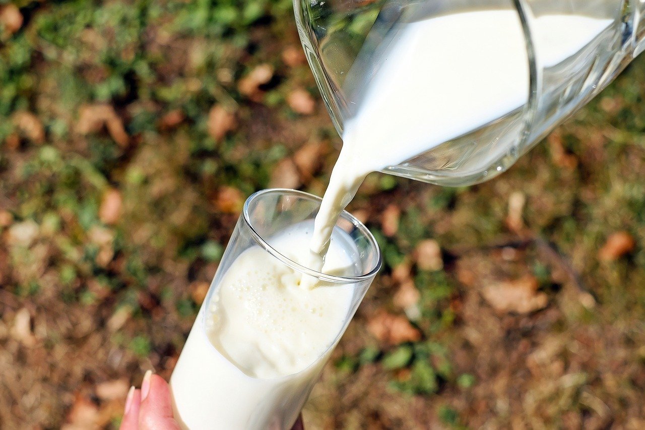 7 Manfaat Susu Kambing yang Menakjubkan