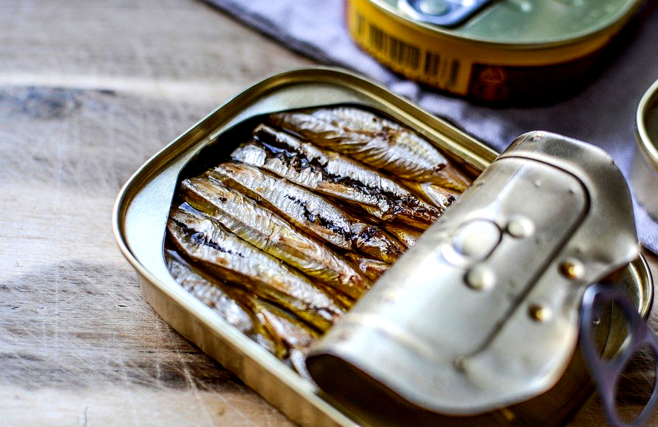 Sehat Gak Sih Konsumsi Ikan Sarden Kalengan?