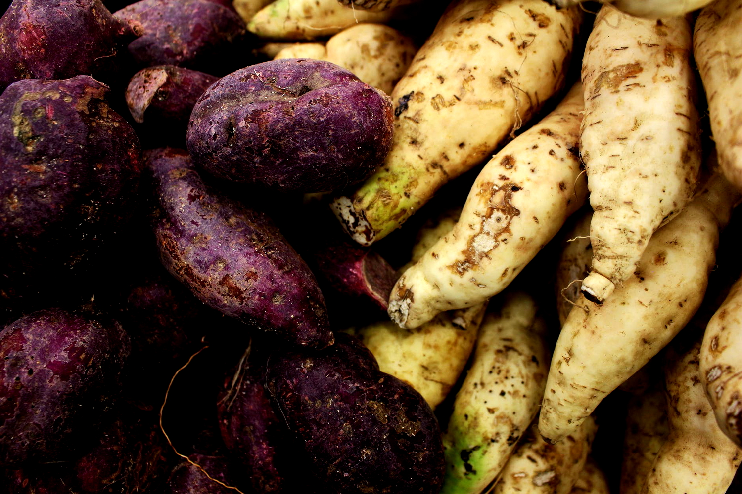 7 Jenis Umbi-Umbian Ini Bisa Jadi Alternatif Makanan Pokok