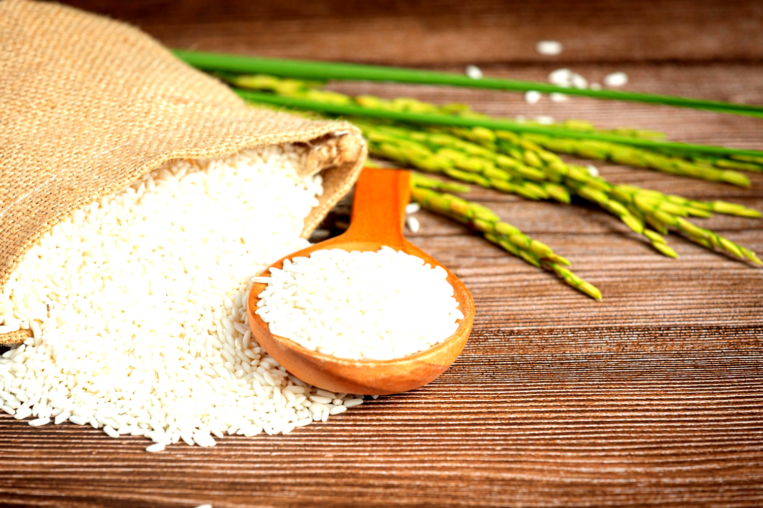 Manfaat Beras Porang, Alternatif Nasi yang Makin Populer