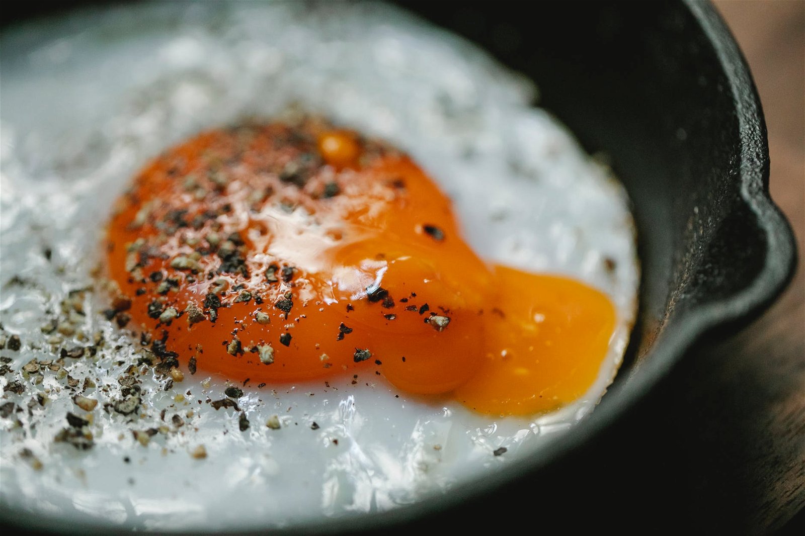 Telur Omega 3: Apa Bedanya Sama Telur Biasa?