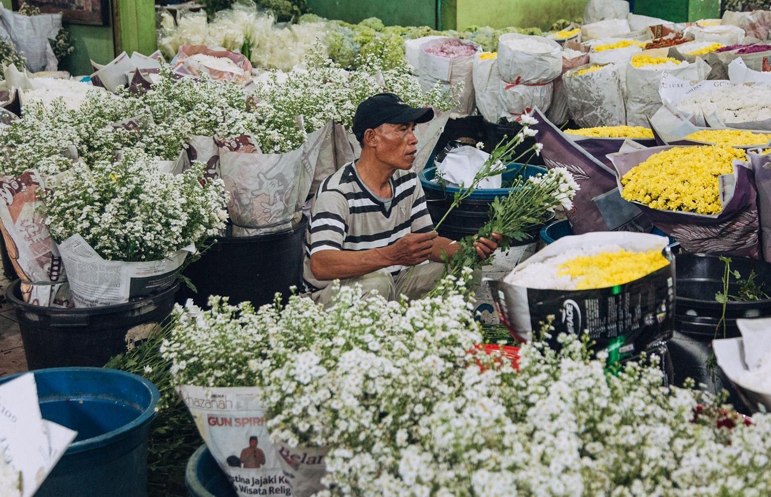 Rawa Belong, Pasar Bunga Terbesar di Asia Tenggara