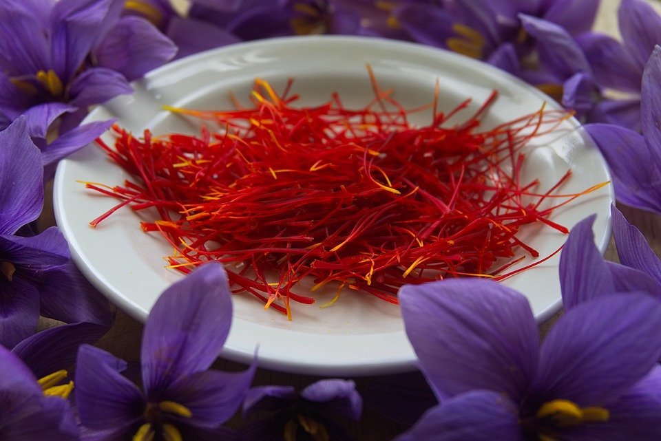 Bunga Saffron, Si Rempah Termahal di Dunia