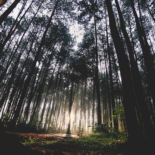 tempat-prewedding-di-bogor-02