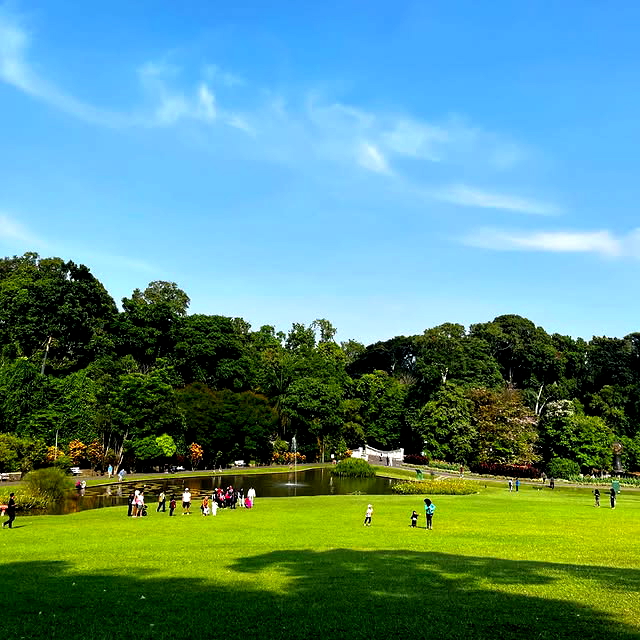 10 Tempat Wisata di Bogor 2024 buat Liburan Akhir Tahun
