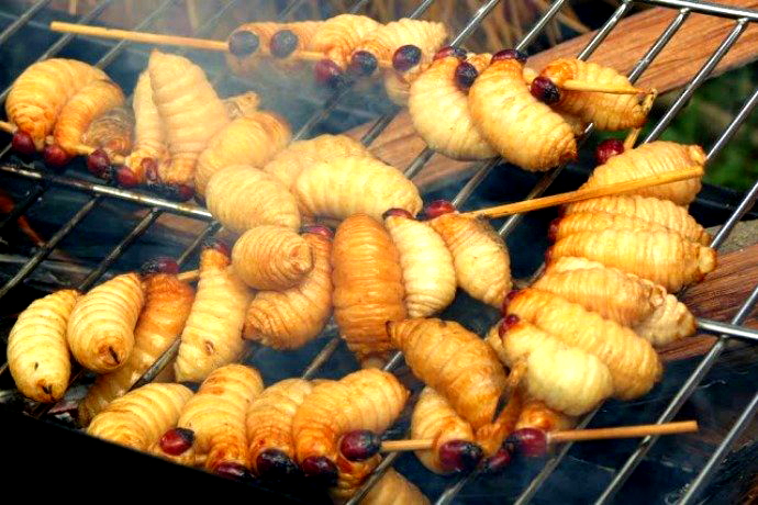 Kuliner Ekstrim dari Berbagai Negara. Berani Coba?
