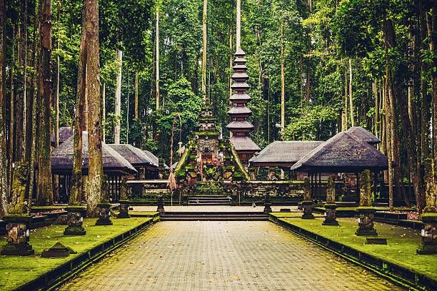 10 Wisata Alam di Ubud Paling Favorit Buat Healing